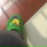 罗玉宗