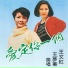 王文红, 王梦华