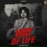 Pavitar Lassoi, Desi Trap Music