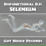 Disfunktional DJs