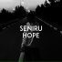 SENIRU