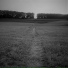 Factheory