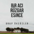 Grup Öksüzler