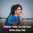 Lovely Nigam, Krishna Rajwade