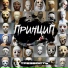 Принцип