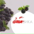 Михаил Башаков