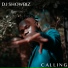 DJ Showbiz