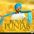 R.B. Singh