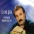 İlyas Şen