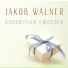 Jacob Walner