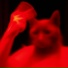 VOIDCAT