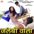 Bhanwar Das, Komal Jangid, ABHINAV SARSWAT