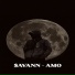 SAVANN