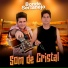 Bonde sertanejo