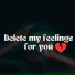 Fi