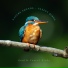 Gentle Forest Birds