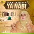 Hafiza Kashifa