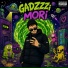 Gadzzzi
