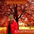 Knapweed