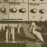 Merzbow