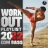 Workout Electronica