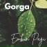 Gorga