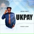 Lexis Tight