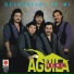 Aguila Real