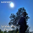 Blueray Beats
