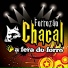 Forrozão Chacal