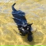 浪子漾