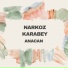 Narkoz Karabey