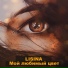 LISINA