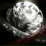 WhiteWither