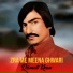 Qismat Khan