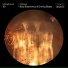 Ultraphonic