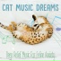 Cat Music, Cat Music Dreams, Cat Music Therapy