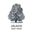 Jalava