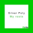 Silver Poly