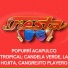 Fiesta 85