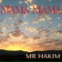 Mr HAKIM