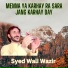 Syed Wali Wazir