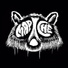 Mapache