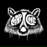 Mapache