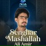 Ali Amir