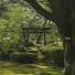 karasu.