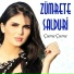 Zümrete Salduri