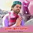 Shahnawaz Ali Bheen