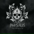 Physalis