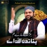 Azhar Fareedi Bradran